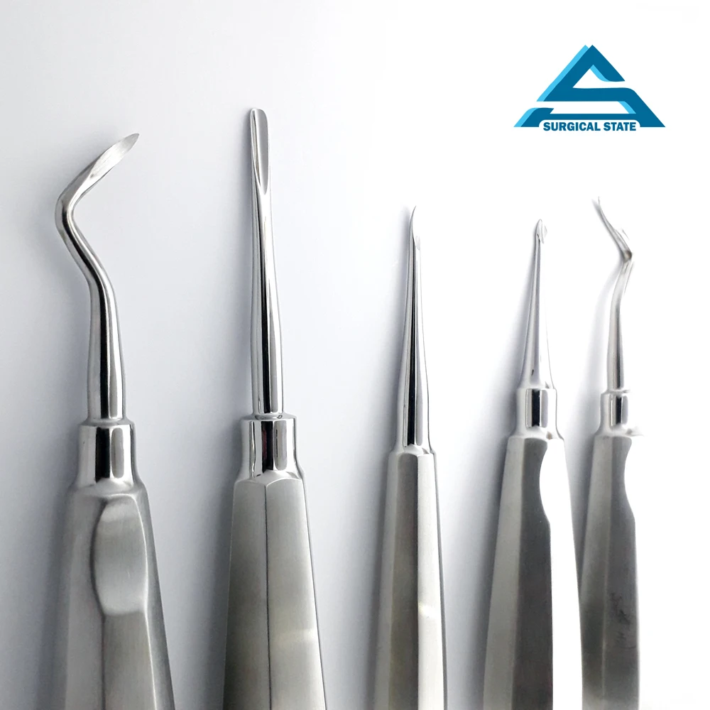 Seldin Root Elevator Angular Curved Premium Handle Dental Instrument Buy Dental Root Canal