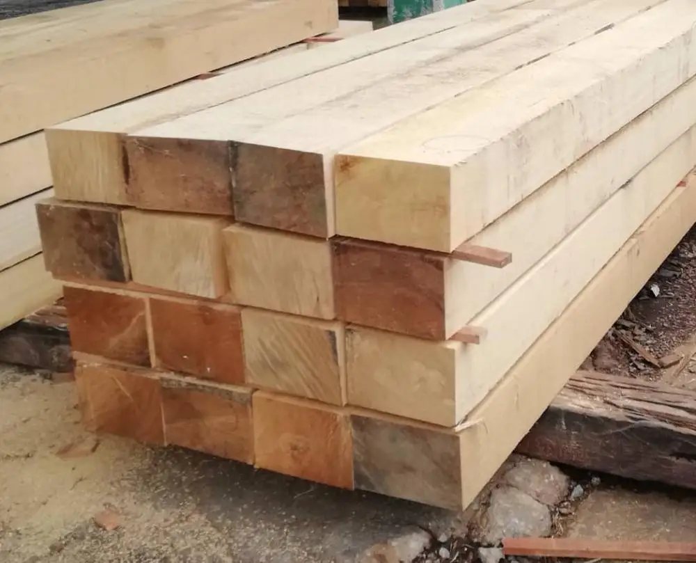 Timber Logs Timor Leste Teak Wood