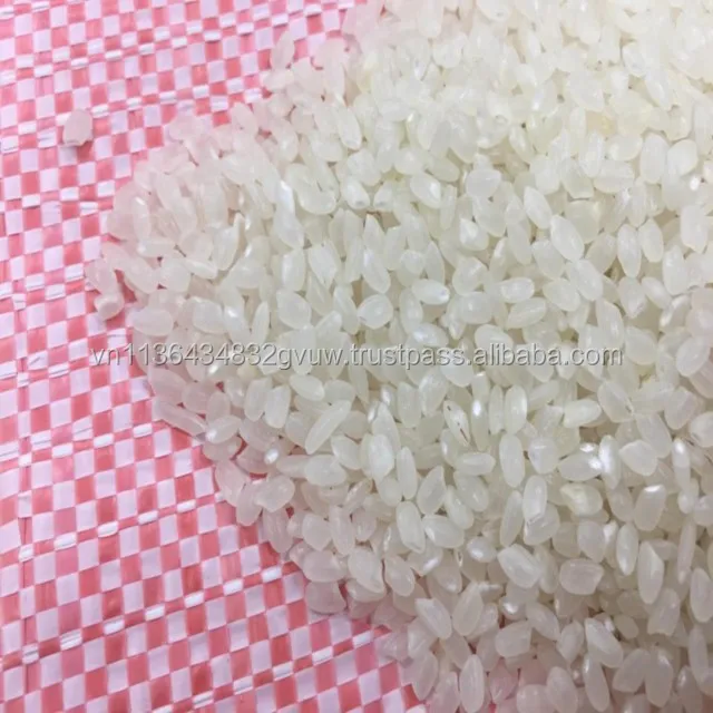 JAPONICA 2% BROKEN 73.jpg