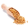 Best Supplier and Exporter From India of Fenugreek Seed