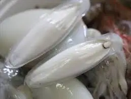 
Exported standard Dried Cuttlefish bone/ cuttlefish from Vietnam ( MS.HOLIDAY Whatsapp +84-845-639-639) 