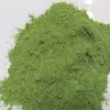 Stinging Nettle Leaf powder / Urtica dioica - Anti pimple face pack and Hair loss remedy for wholesale
