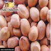 Best Quality Java Peanut