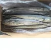 mahi mahi ,frozen delicious mahi mahi /Frozen Seafood Mahi Mahi Fillet/mahi mahi fillets in stock , cleanned mahi mahi fish