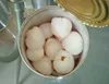 Canned Lychee fruit price export with high quality