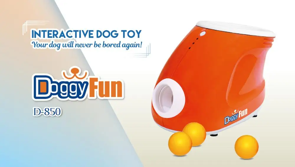 boy inhales dog toy