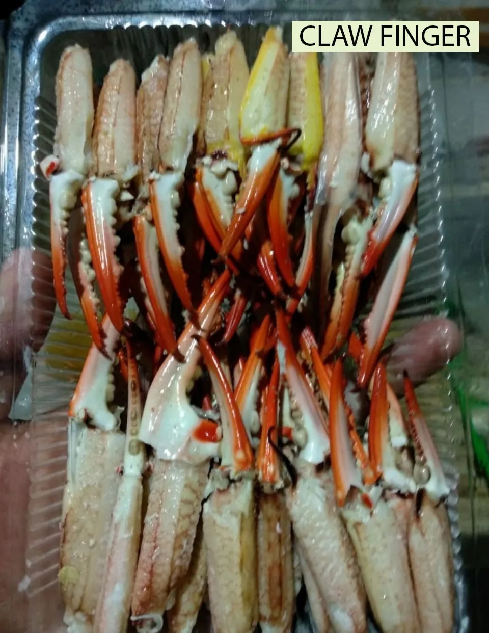 Fresh And Chilled Meat Crab Cooked / Jumbo Lump/ Flower / Claw Finger