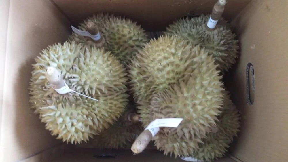 
FRESH DURIAN MONTHONG NO.1 