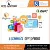 Full Range of Unique Ecommerce Strategies and Website Design & Development Solutions
