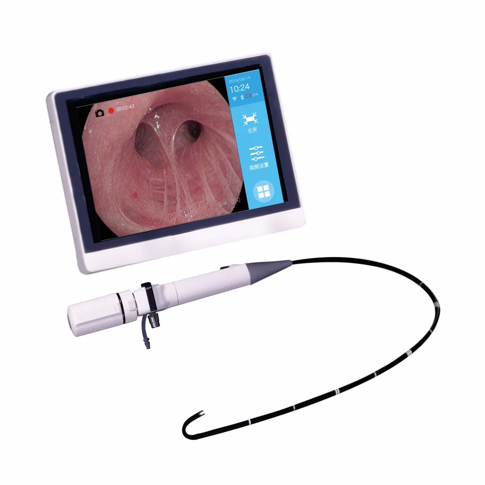 Flexible 3mm Video Ent Endoscope Camera/portable Endoscope Led Light ...