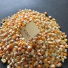 Yellow Maize In India