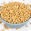 Soybean/soya bean/soja/dried soya bean Brazil