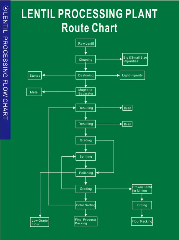 China supplier red split lentils processing machine