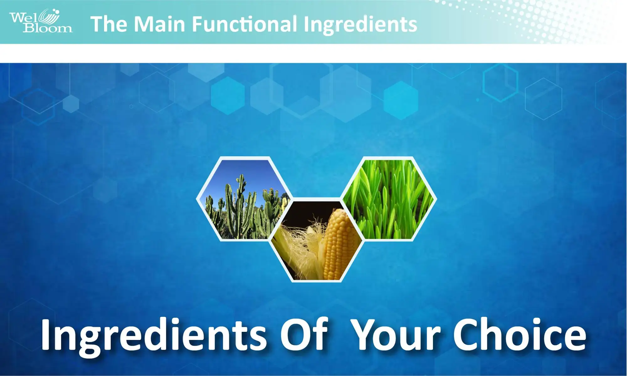 slim_Fluid Balance.jpg