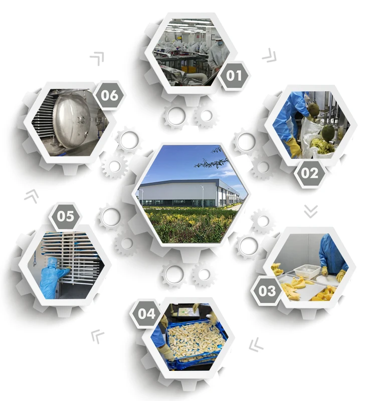 Organic freeze dried mango slices dried mango wholesale