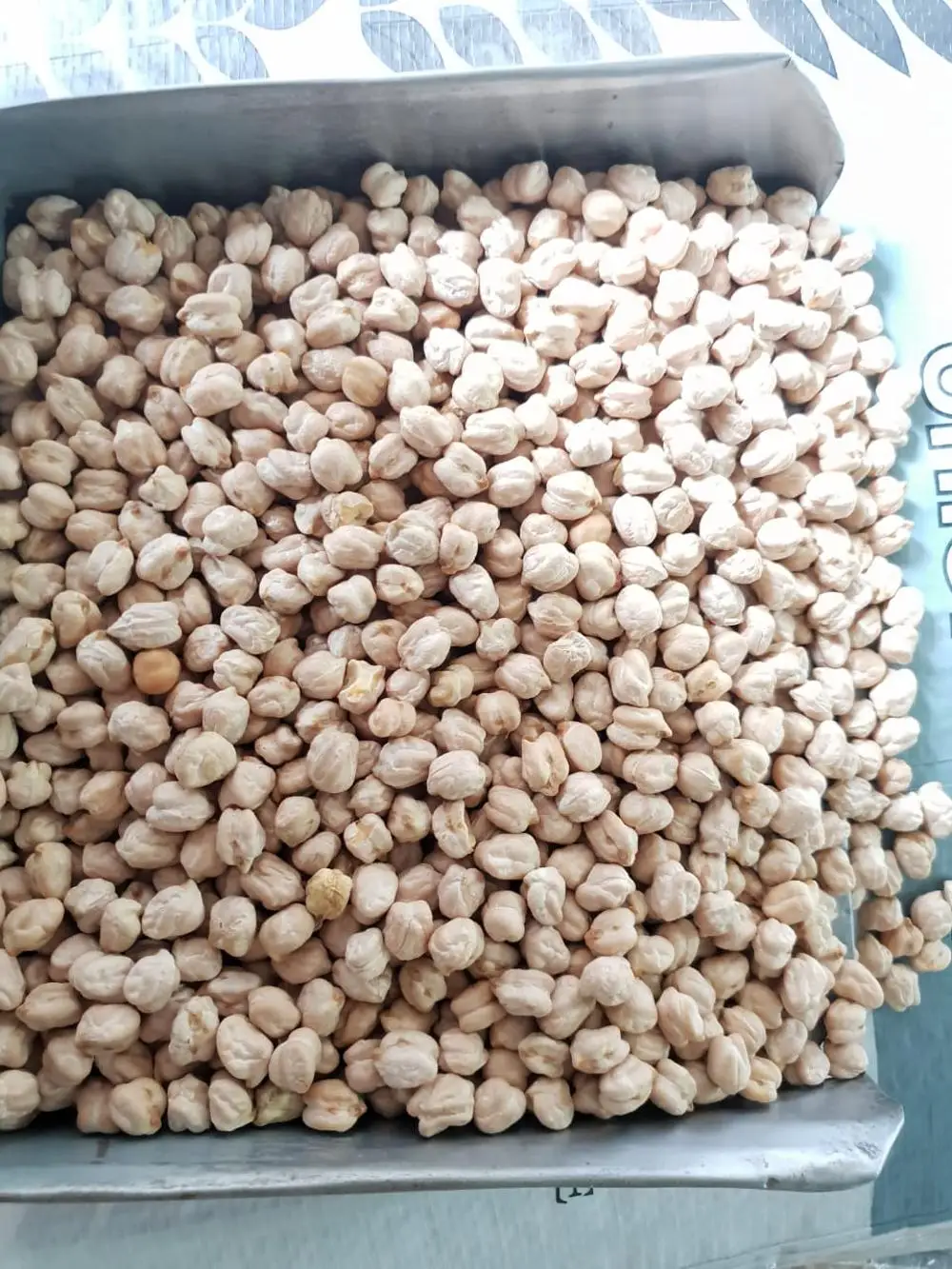 
Kabuli chick peas ( Size13 mm, Count - 40/42 ) 