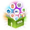 web development company web agency Software