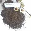 WHOLESALE HIGH QUALITY PINHEAD PEPPER