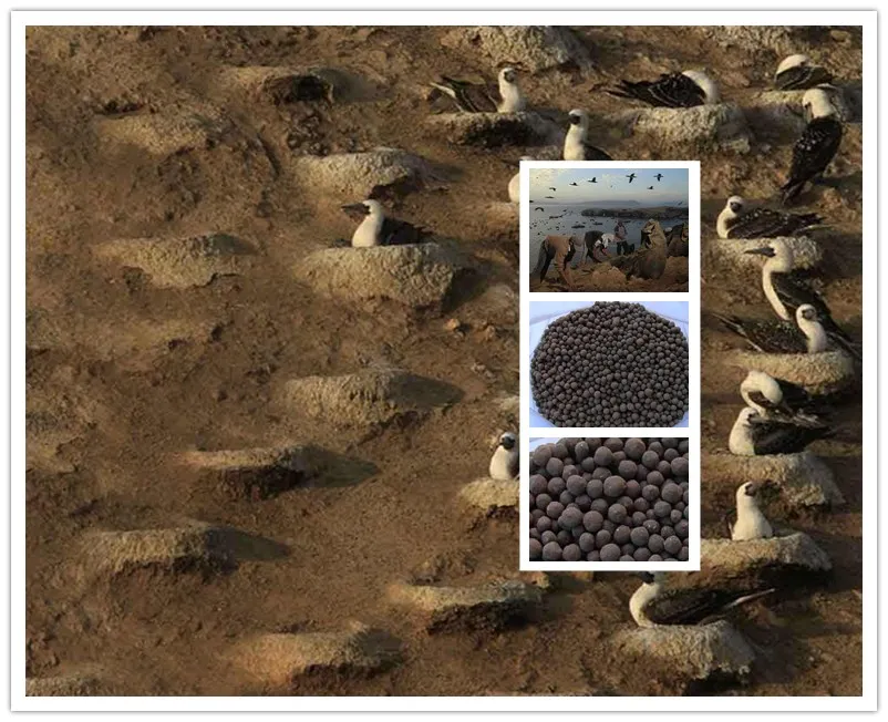 guano fertilizer pellet machine wax