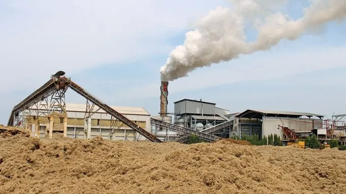 Sugarcane Waste/ Sugar Cane Bagasse/ Dried Sugar Cane - Buy Sugarcane ...