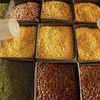 Chickpeas, pigeon peas, lentils, chick peas, beans, pulses, mung, kabuli, chana dal For Sale