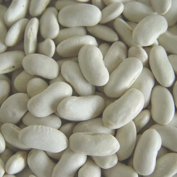 haricot bean high quality