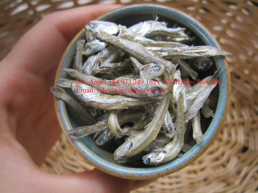 Анчоусы хамса сардины. Ферментированные анчоусы. Как едят анчоусы. Анчоус рыба сушеный. Анчоус рыба.