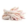 Halal Chicken Feet / Frozen Chicken Paws Brazil / Fresh chicken wings and foot