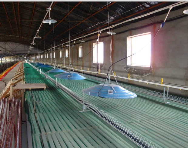 high quality poultry house electric egg setter inc
