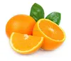 Fresh Kino Mandarins Citrus Fruit , Kinno Kino Mandarin Fresh Oranges Kinnow price , Mandarin Sargodha kinow exporter price