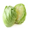 Best Natural Cabbage Grown On Organic Fields