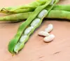 Best Price Lima Beans