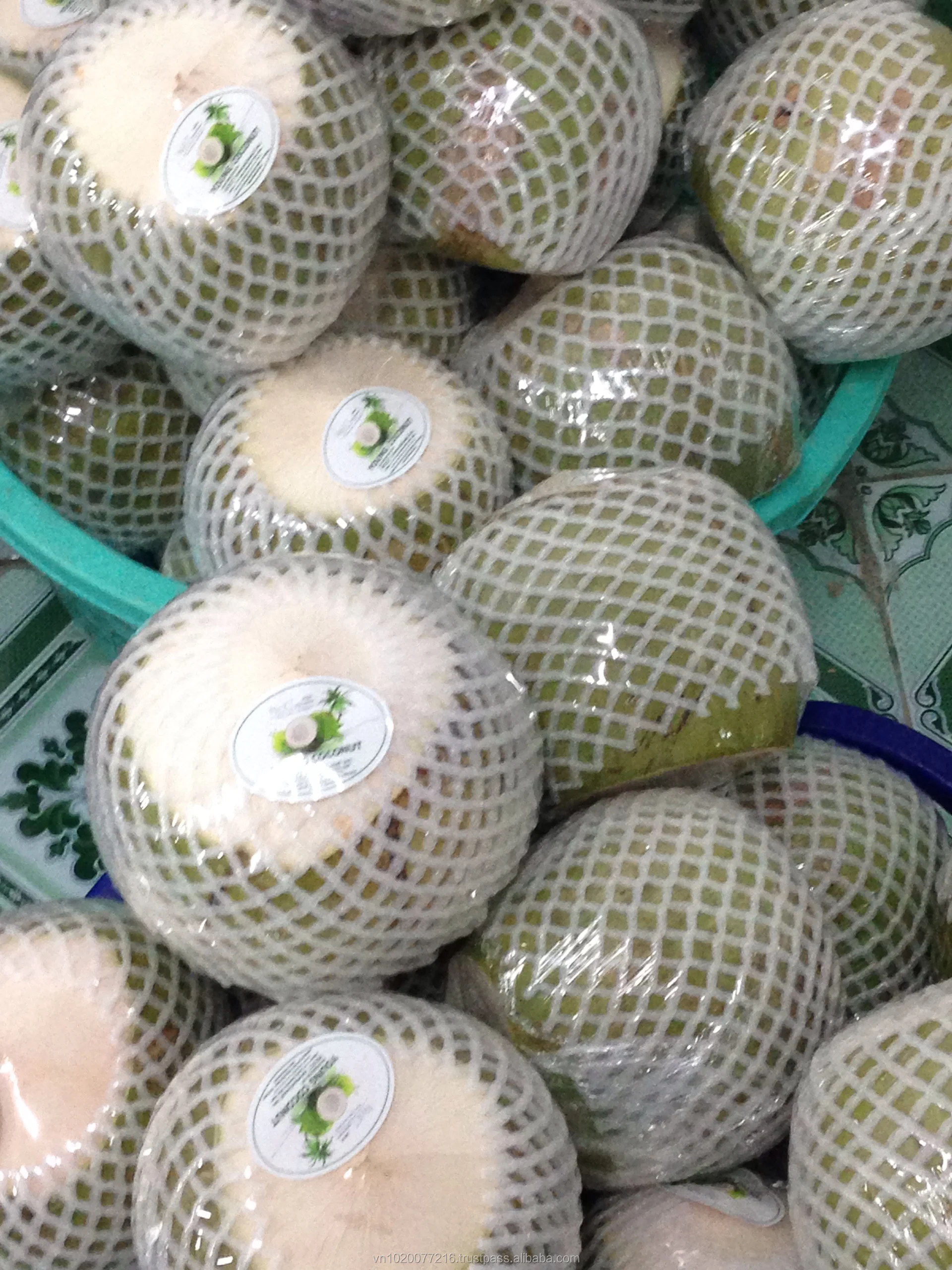 Fresh Coconut Buy Fresh Coconuts For Sale,Fresh Coconuts In Container