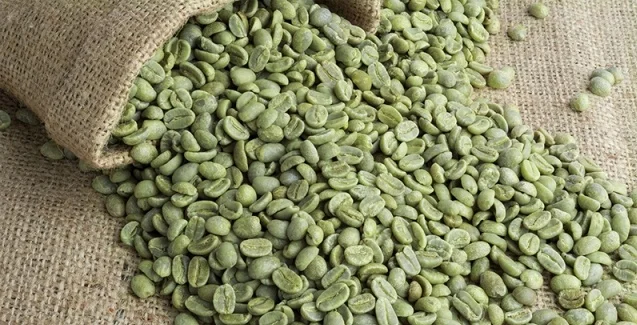 Unroasted Coffee Beans >> Brazil Unroasted Arabic Green Coffee Beans Organic Wholesale Buy Arabica Coffee Coffee Bean Organic Wholesale Unroasted Coffee Beans Product On Unroasted Coffee Beans >> Brazil Unroasted Arabic Green Coffee Beans Organic Wholesale Buy Arabica Coffee Coffee Bean Organic Wholesale Unroasted Coffee Beans Product On