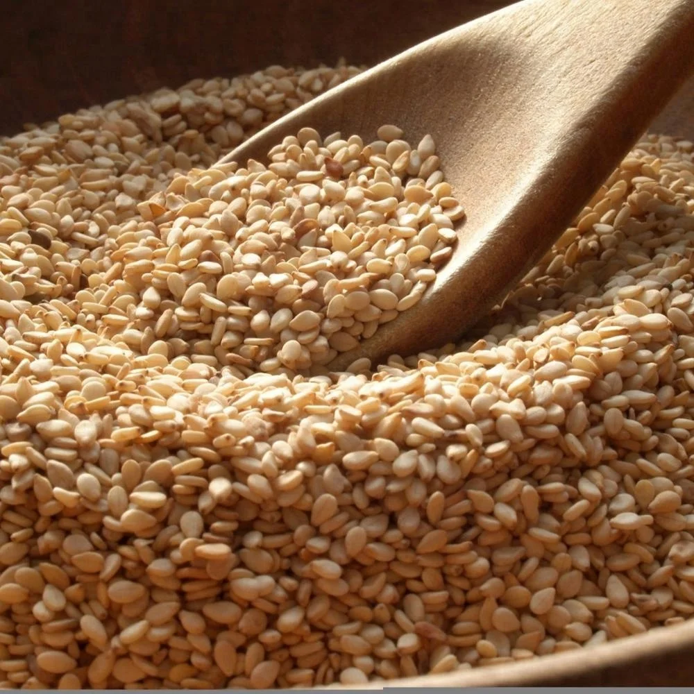 Black Sesame Seeds Buy Myanmar Sesame Seeds,Best Black Sesame Seed