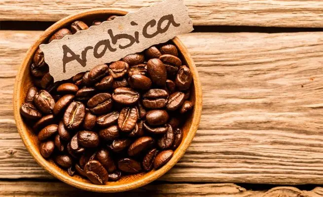 #café_arabica