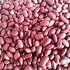 99% quality new crop red kidney beans cooking red kidney beans for sale