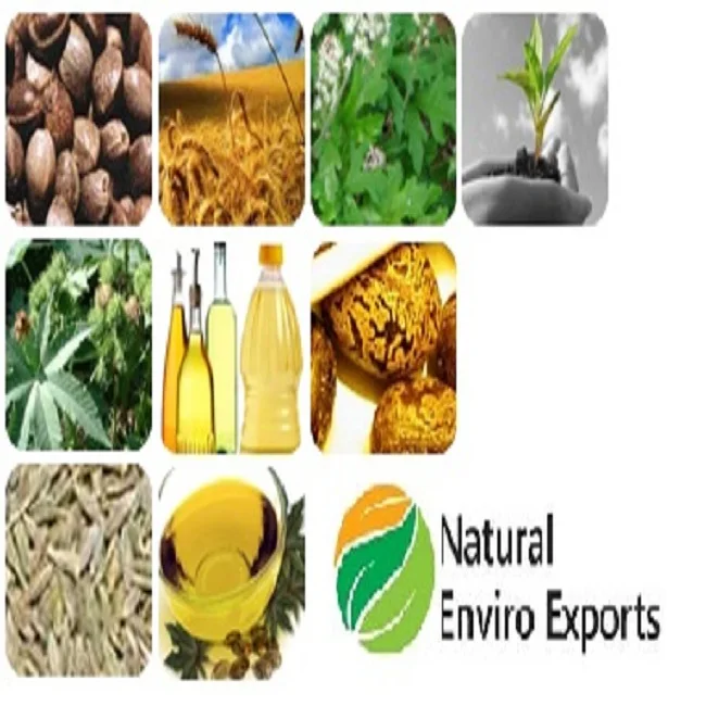 Castor Oil 18