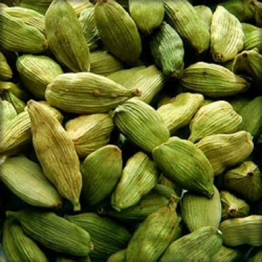 Грин кардамон. Зеленый кардамон. Elettaria cardamomum. Индийский кардамон. Kardamon_01.