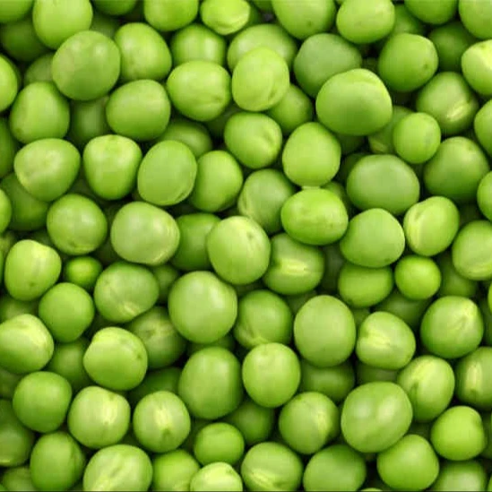 
Best Price Frozen Green Peas 