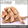 Calamus Root Oil , Pure Natural at bulk wholesale price