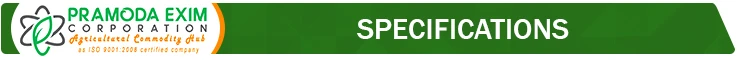 Specification title.jpg