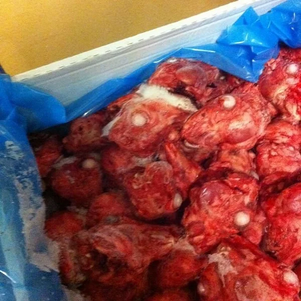 
FROZEN RABBIT HEADS FROM CHILE 