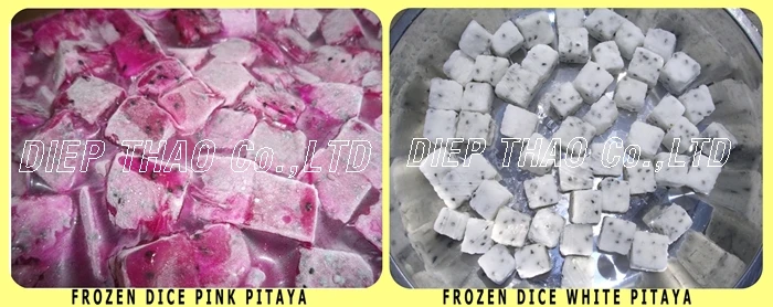 dong lanh 9-tile.jpg