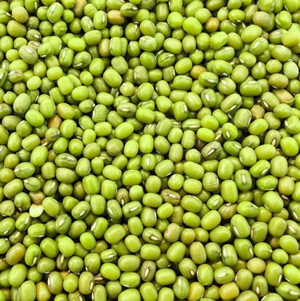 
high quality Uzbekistan green mung beans organic mung beans 