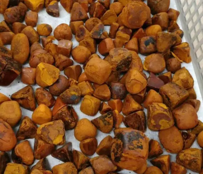 Image result for Ox Cow gallstones