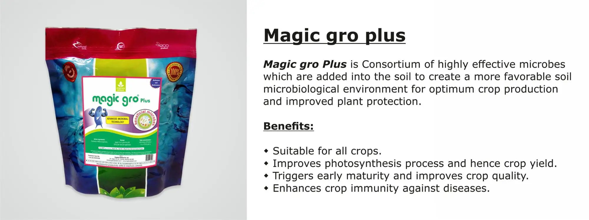 Best Organic Fertilizer For Improving Growth Of Cocoa Plants In Nigeria