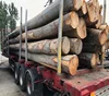 ABC Beech / Oak / White Ash Logs in Container, 30+ cm
