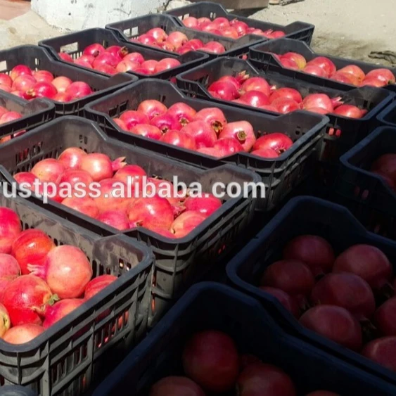 
Fresh Red/Sweet pomegranate/ pomegranate wonderful /fresh fruit of pomogranate HOT SALES  (50031602715)