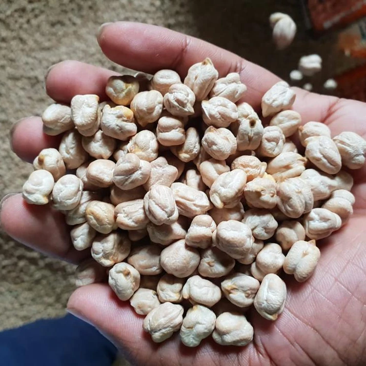
Kabuli chick peas ( Size13 mm, Count   40/42 )  (50039649498)